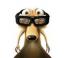 WalterW's Avatar