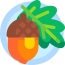 acorn's Avatar